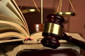 抓害群之馬，助金融改革一臂之力
