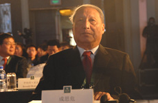 成思危