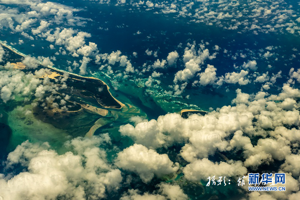 飛躍太平洋，跨越秋與春