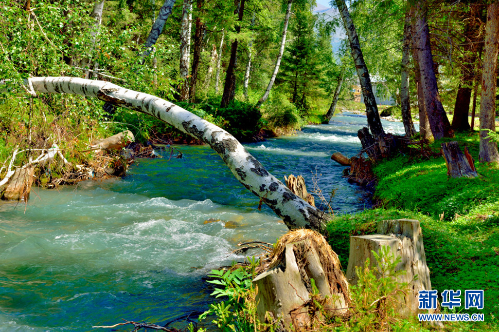 《禾木自然村》