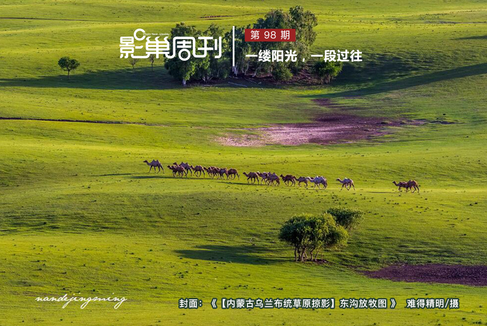 【內蒙古烏蘭布統草原掠影】東溝放牧圖