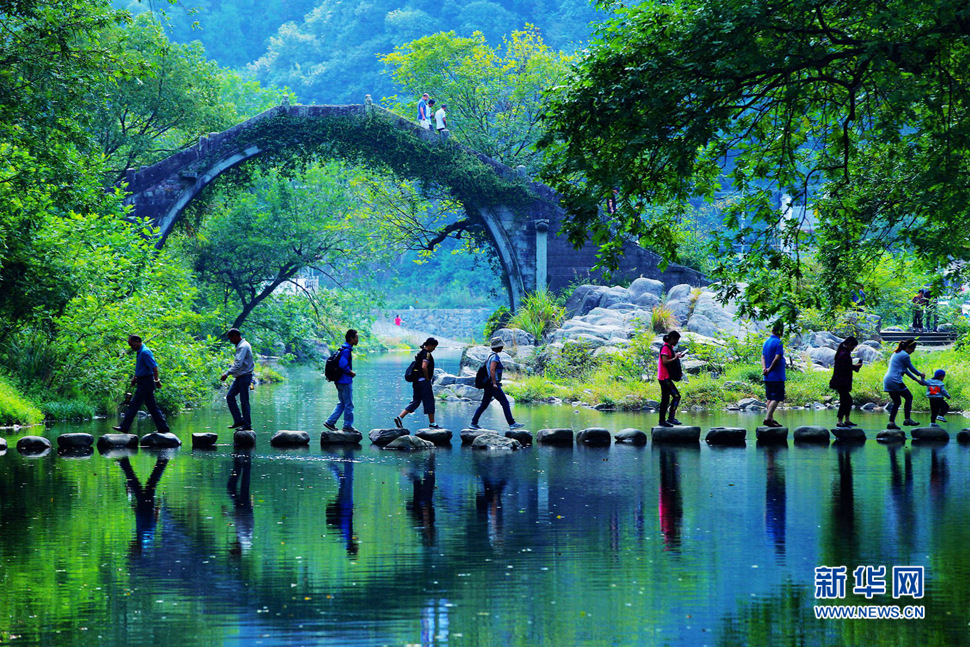 美呆了，中村