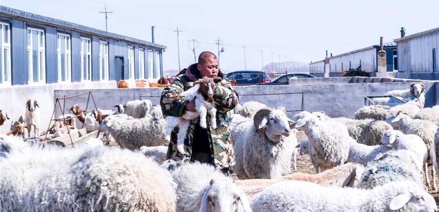 易地搬遷讓村民“住得好、能致富”