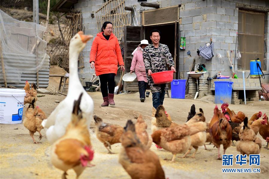 （新華全媒頭條·十九大特別報道·圖文互動）（13）再塑黨的形象的偉大工程——中國共產黨自身建設的五年探索之路