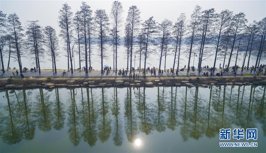 （十九大·讀報告 話民生）（13）加快生態文明體制改革，建設美麗中國