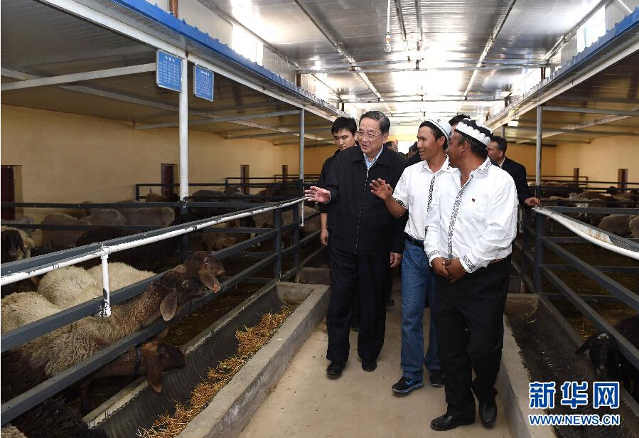 9月27日，中共中央政治局常委、全國政協主席、中央代表團團長俞正聲率中央代表團部分成員赴喀什地區莎車縣看望各族干部群眾。這是俞正聲在新疆生產建設兵團第三師莎車農場實地察看萬只羊養殖基地。新華社記者 饒愛民 攝