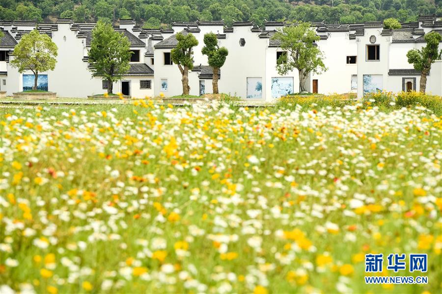 （新華全媒頭條·搶救古民居·圖文互動）（2）當古民居遇上城鎮化，如何留住鄉愁？