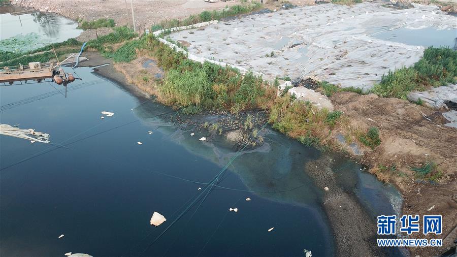 （新華網）（3）江蘇泰興公布長江邊污泥傾倒問題整改方案 將對涉事人員依紀問責