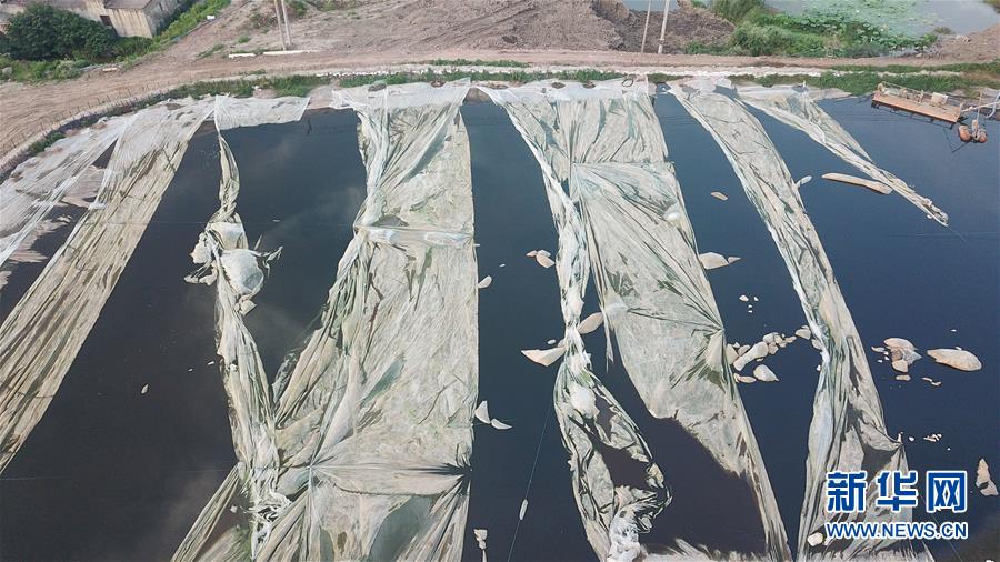 （新華視點·圖文互動）（4）中央督察兩年有的絲毫未改，有的不減反增——江蘇泰興數萬噸化工廢料和污泥堆放長江邊調查