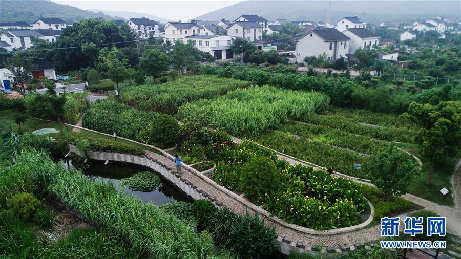 （在習近平新時代中國特色社會主義思想指引下&mdash;&mdash;新時代新作為新篇章&middot;圖文互動）（1）稀奇！治污濕地成了休閑公園&mdash;&mdash;江蘇蘇州全域推進農村生活污水治理