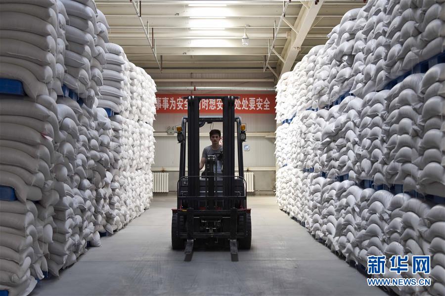 （新華全媒頭條·圖文互動）（6）去新疆！穿越古今絲綢之路