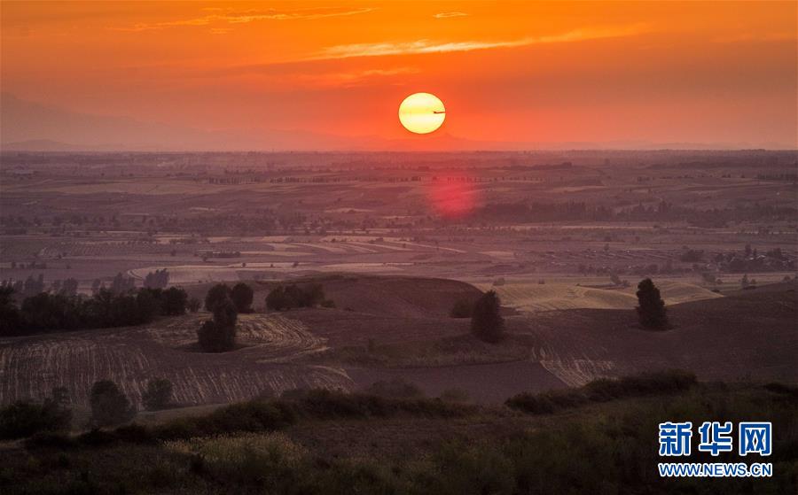 (圖文互動)(1)藝術家進村 新疆古老村莊煥發新顏