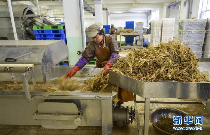 （百城百縣百企調研行·圖文互動）（5）吉林集安：邊陲“綠色明珠”為何如此閃亮？