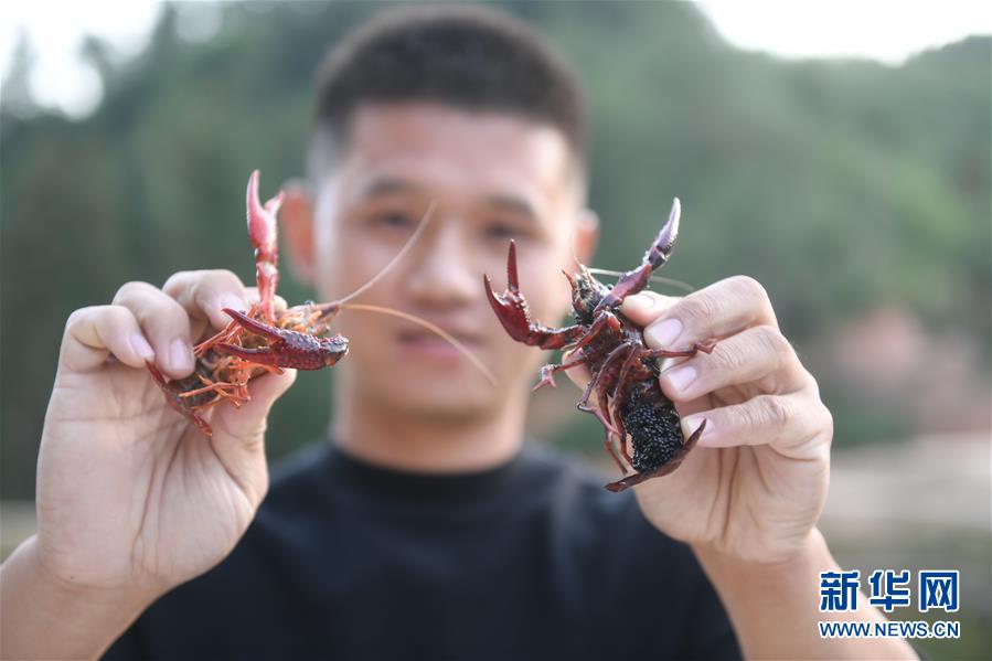 (在習近平新時代中國特色社會主義思想指引下·慶祝改革開放40周年·綠色發展·圖文互動)(2)吹盡狂沙始到金——綠色發展之“金”的故事