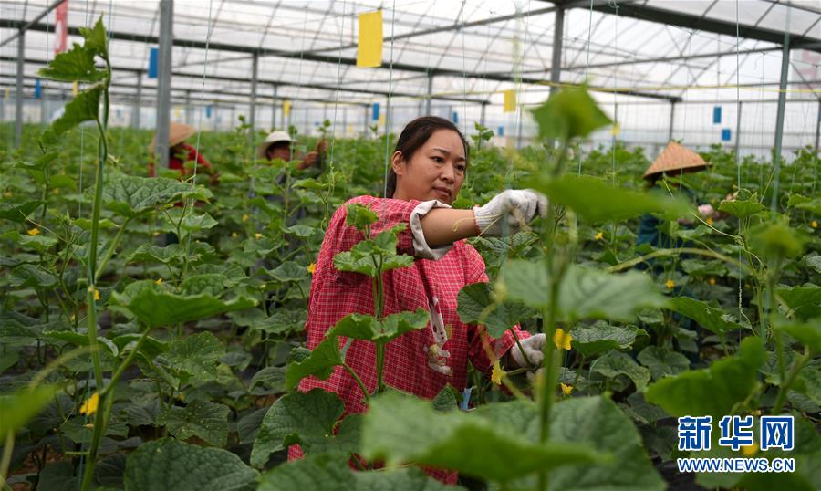 （新華全媒頭條·圖文互動）（11）心中有夢想，腳下就有力量——寫在“中國夢”提出六周年之際