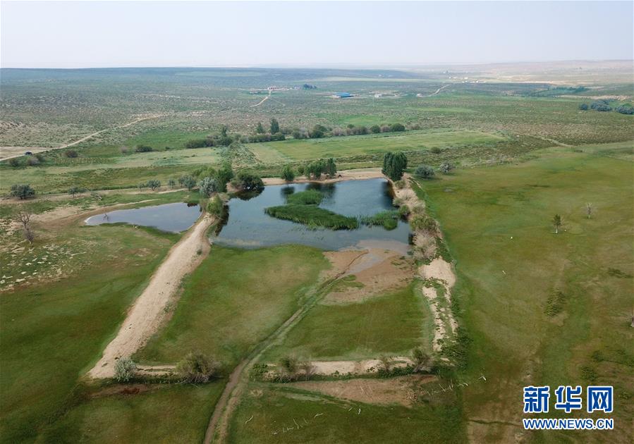 （新華全媒頭條·圖文互動）（14）心中有夢想，腳下就有力量——寫在“中國夢”提出六周年之際