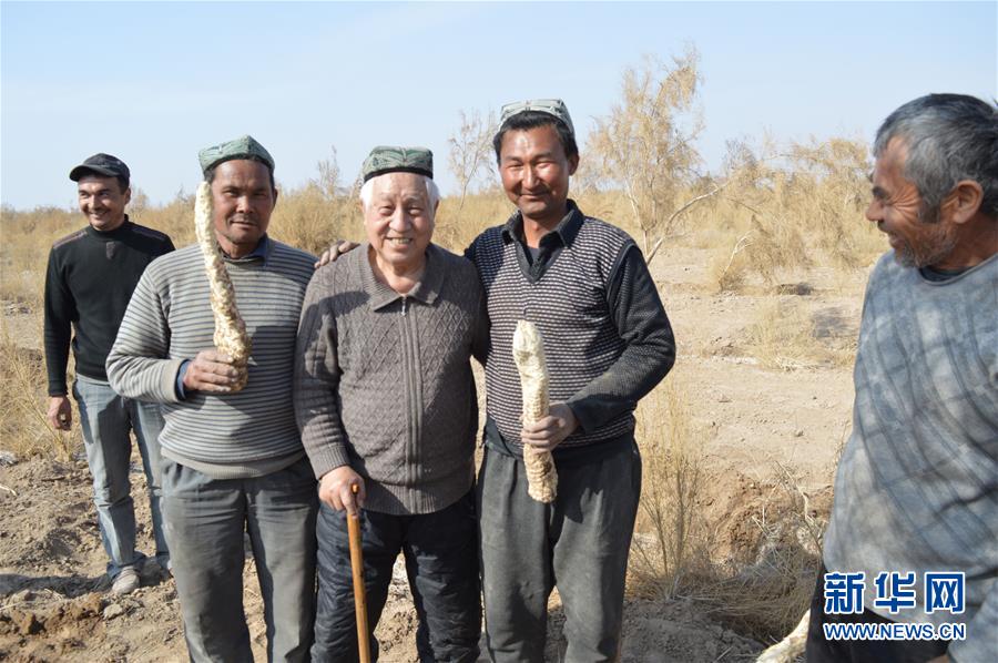 （圖文互動）（3）“劉紅柳”，一輩子大漠扎根種樹