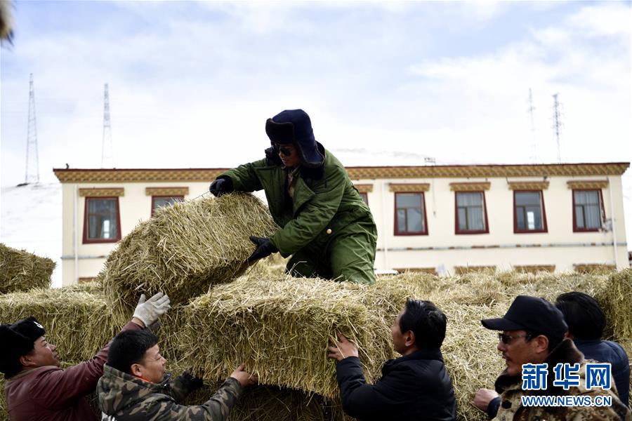 (新華全媒頭條·圖文互動)(5)風雪中傳遞溫暖的力量——記青海干部群眾抗擊玉樹雪災