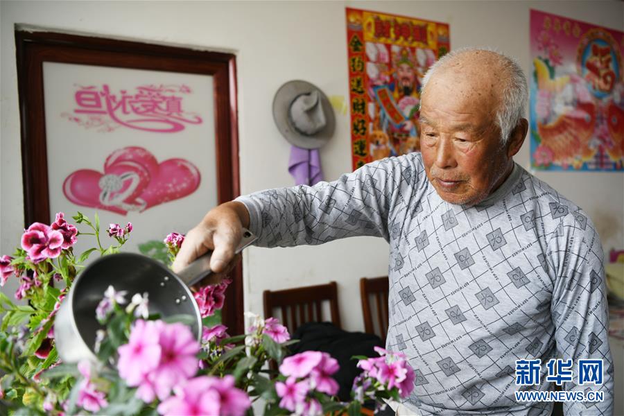 (壯麗70年·奮斗新時代·圖文互動)(3)“光腚屯”富了美了——《暴風驟雨》原型地黑龍江元寶村振興見聞