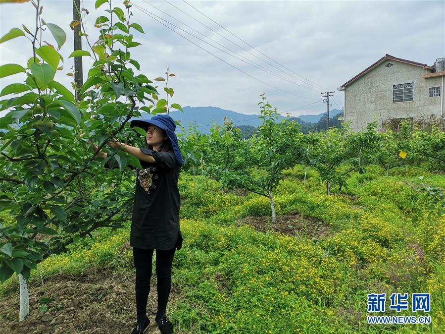 (壯麗70年·奮斗新時代·圖文互動)(1)縣域經濟強縣的“扶貧經”——來自湖南瀏陽市的脫貧攻堅調查