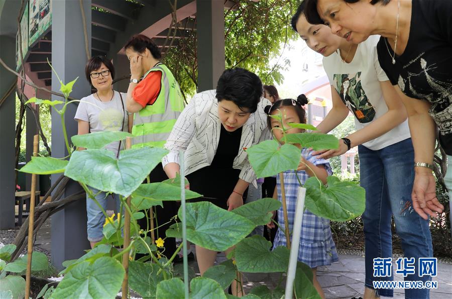 (新華全媒頭條·圖文互動)(4)上海“新時尚”:用“繡花功”解垃圾分類“大難題”