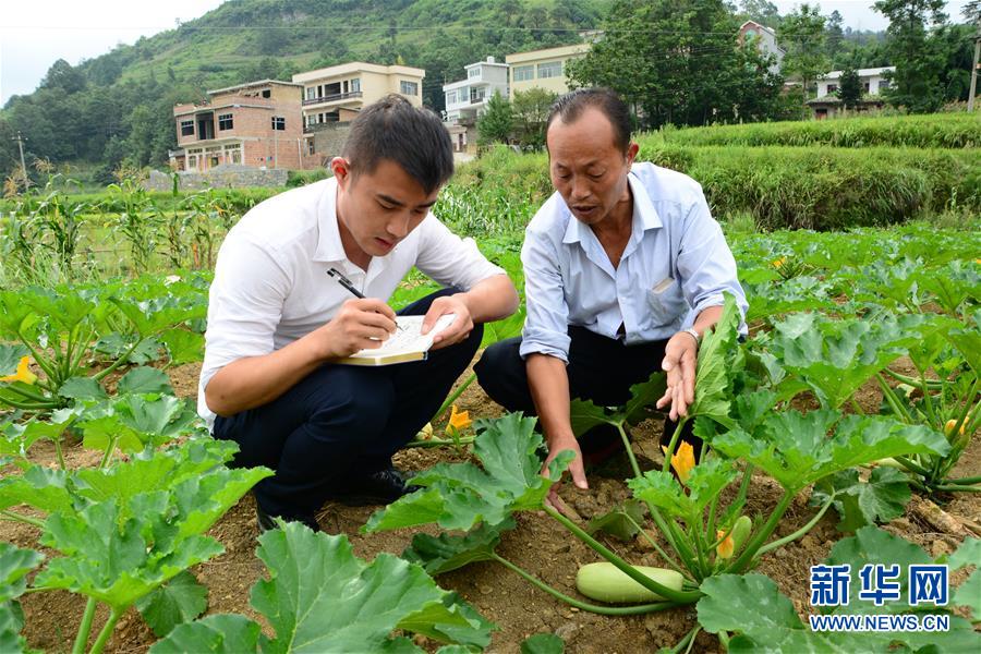 (新華全媒頭條·圖文互動)(3)咱們村里的年輕人——記奮戰在貴州脫貧攻堅一線的青年
