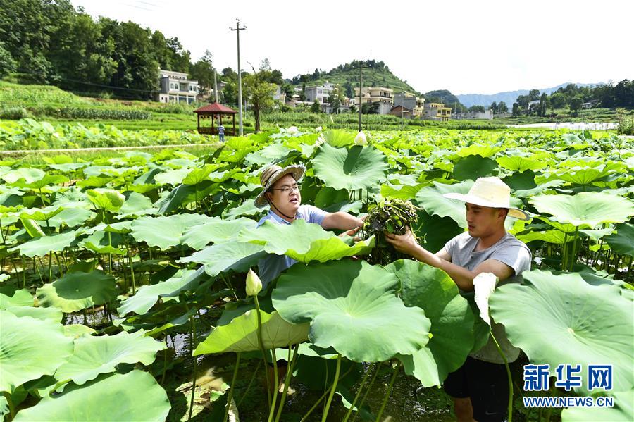 (新華全媒頭條·圖文互動)(4)咱們村里的年輕人——記奮戰在貴州脫貧攻堅一線的青年