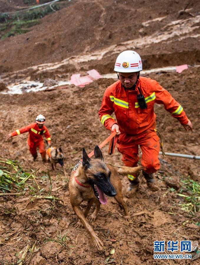 （新華全媒頭條·圖文互動）（4）有一絲希望，就盡百倍努力——貴州水城“7·23”特大山體滑坡72小時救援紀實