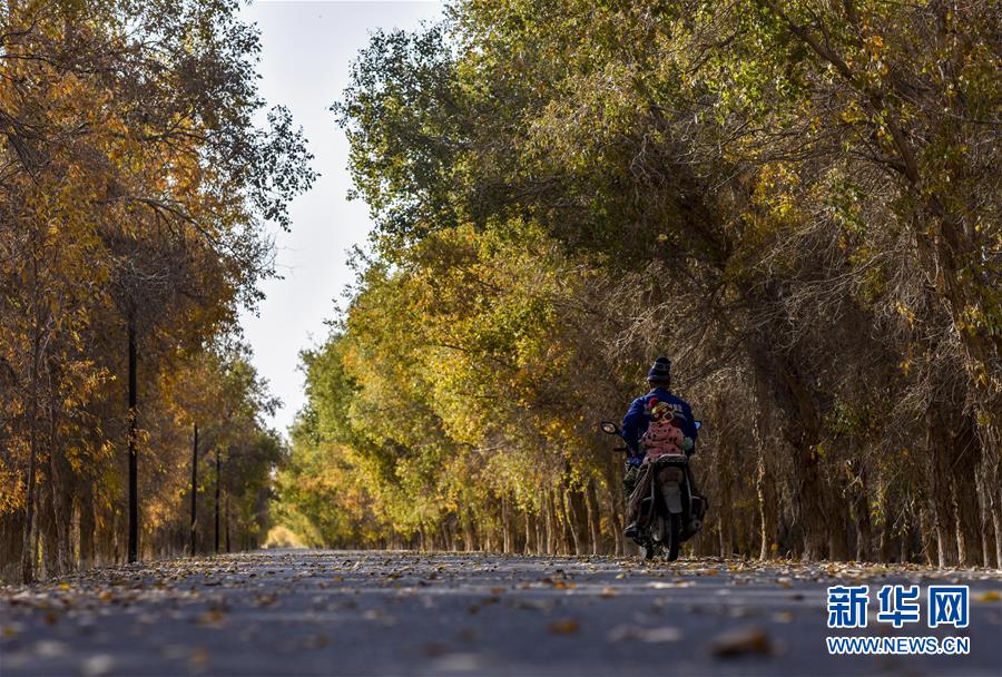 (壯麗70年·奮斗新時代——共和國發展成就巡禮·圖文互動)(2)鑄劍為犁造綠洲 安邊固疆筑“長城”——新疆生產建設兵團維穩戍邊改革發展紀實
