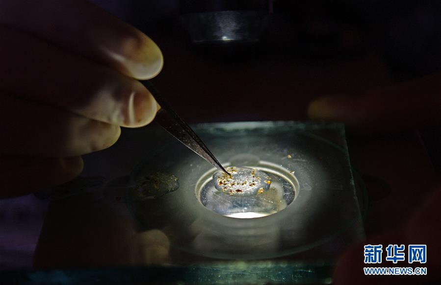 (紅土地“往事新說”·圖文互動)(1)昔日送“瘟神”  今朝健康促小康