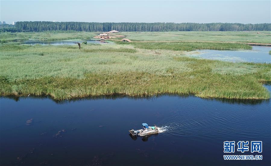 (壯麗70年·奮斗新時代·重溫囑托看變化·圖文互動)(4)雄安新區:錨定高質量發展 奮力書寫新時代答卷