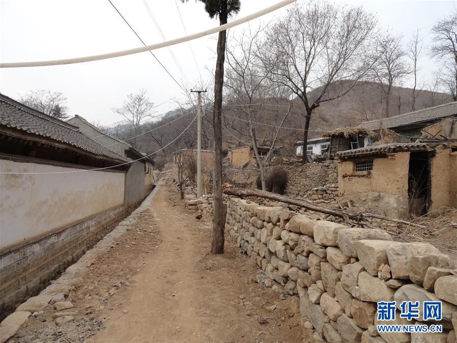 （集中連片特困地區貧困村調研行·圖文互動）（4）只要有信心，黃土變成金——河北阜平縣駱駝灣村和顧家臺村脫貧調查