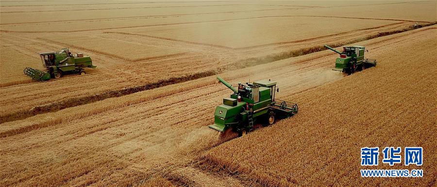 (新華全媒頭條·圖文互動)(1)大國糧倉的新時代交響——河南農業70年觀察