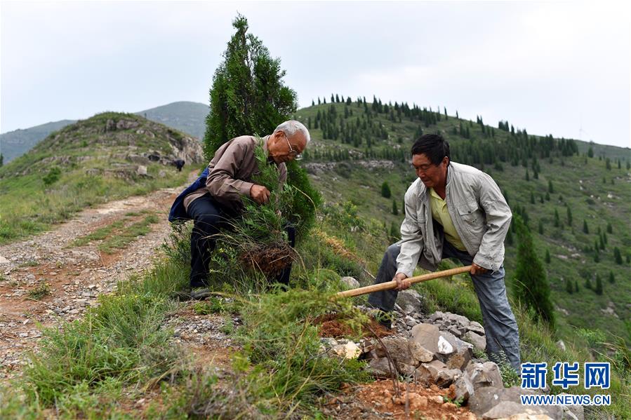 （圖文互動）（2）&ldquo;退休20年，咱就干了這么一件事&rdquo;&mdash;&mdash;記山西水利廳退休干部高文毓的&ldquo;綠山夢&rdquo;