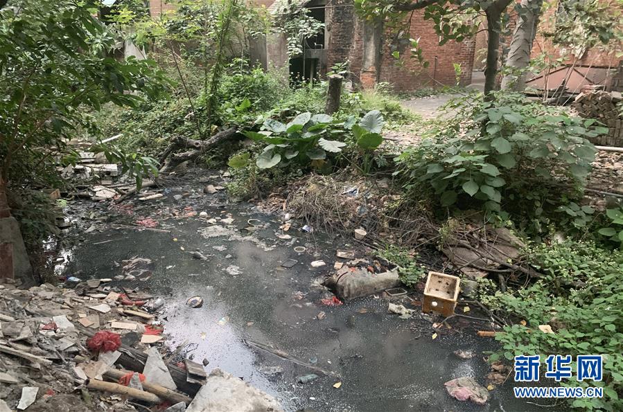 （圖文互動）（1）河長職責寫得明明白白，條條舉措無一落實——國務院檢查組暗訪核查佛山一農村河涌黑臭十余年無人管理