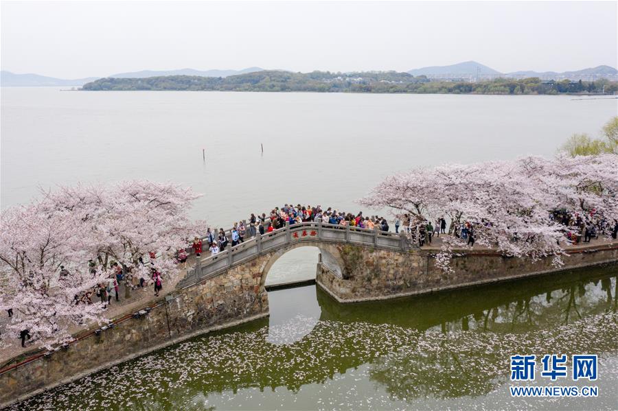 (新華全媒頭條·圖文互動)(8)大湖見證——長三角三大淡水湖綠色發展之路
