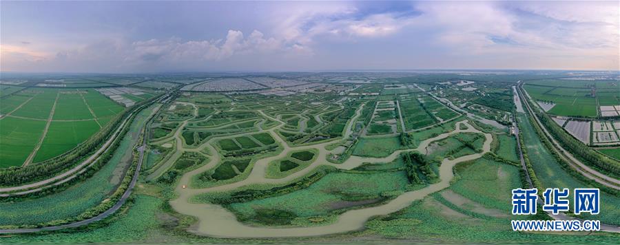 (新華全媒頭條·圖文互動)(11)大湖見證——長三角三大淡水湖綠色發展之路