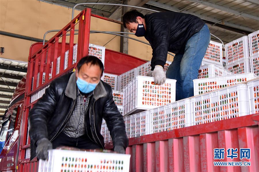 （聚焦疫情防控·圖文互動）（5）吃的東西充足，做點花樣菜吧！——中部地區最大農產品批發市場見聞 