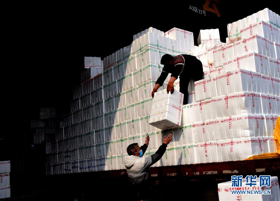 （聚焦疫情防控·圖文互動）（4）吃的東西充足，做點花樣菜吧！——中部地區最大農產品批發市場見聞 