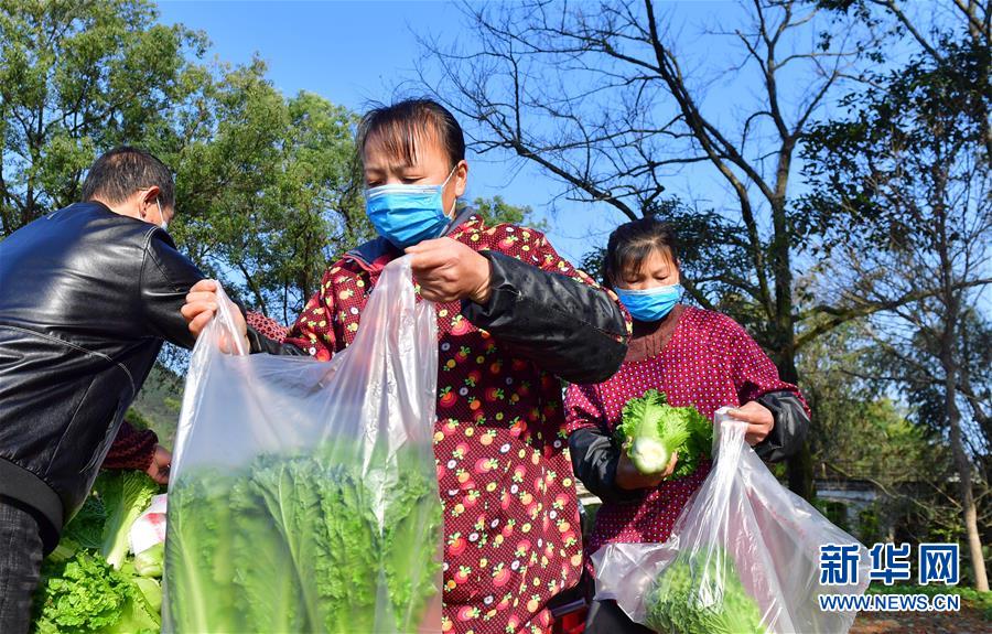 (圖文互動)(6)廣西桂林:“借力+接力”新鮮蔬菜進社區