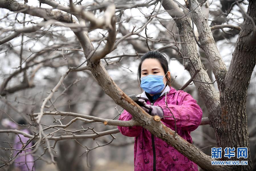 (聚焦疫情防控·圖文互動)(2)農民工返城:幾多憧憬幾許等待——走進疫情下的河北勞務輸出專業村