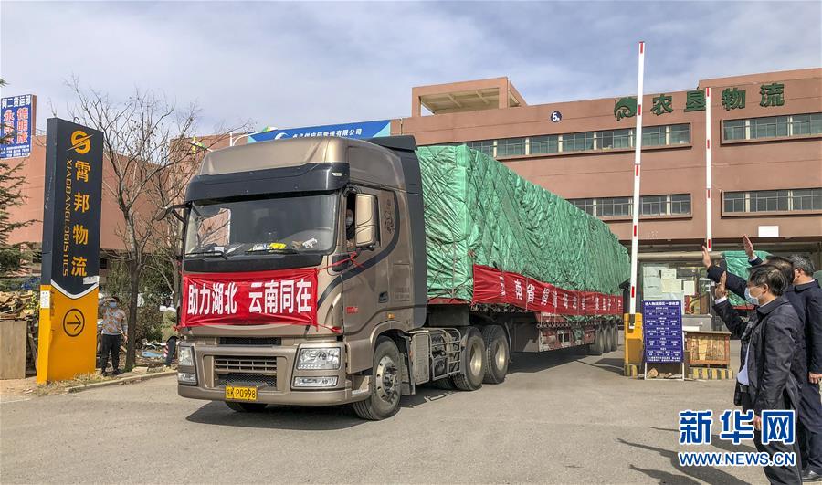 (圖文互動)(3)青青園中葵 朝露待日晞——云南組織蔬菜等農產品支援湖北記略