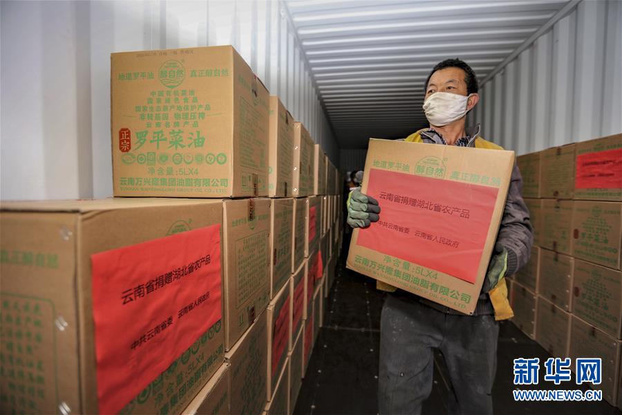 (圖文互動)(7)青青園中葵 朝露待日晞——云南組織蔬菜等農產品支援湖北記略