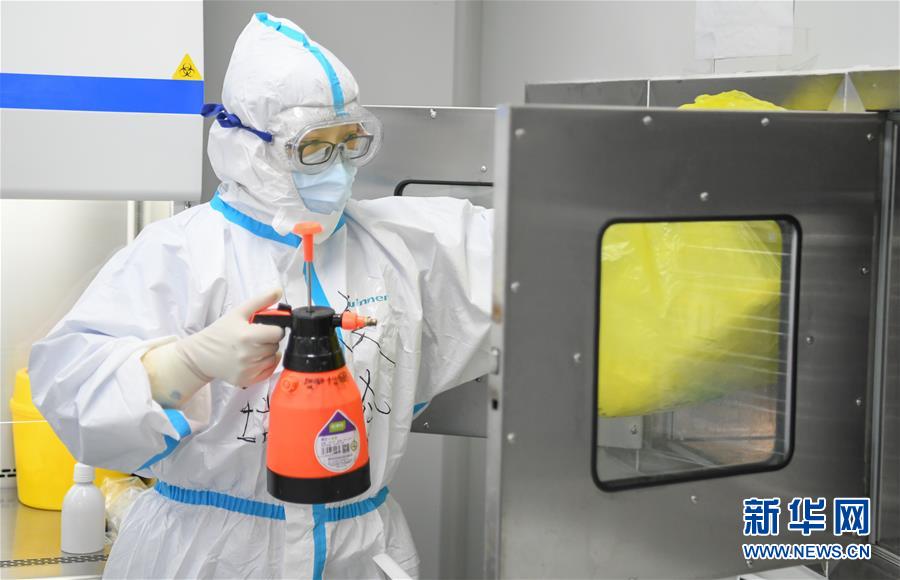 (聚焦疫情防控)(6)女子“偵察兵”:決戰雷神山