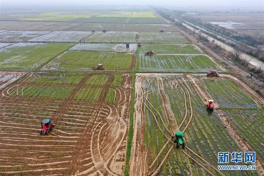 （抓好春耕備耕 穩住農業生產·圖文互動）（2）智能農機、“訂單”服務、“云端”種菜——來自江西的春耕“新事”