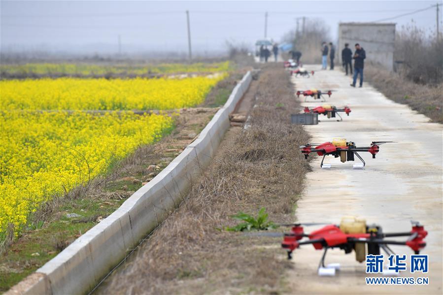 （抓好春耕備耕 穩住農業生產·圖文互動）（4）智能農機、“訂單”服務、“云端”種菜——來自江西的春耕“新事”
