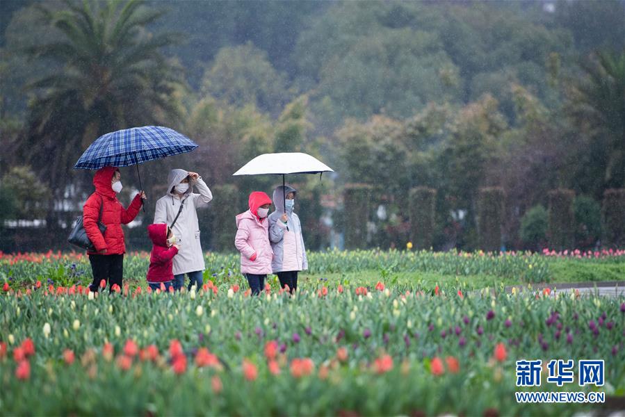 (圖文互動)(4)湖南:響應降級 經濟提速 防控不松