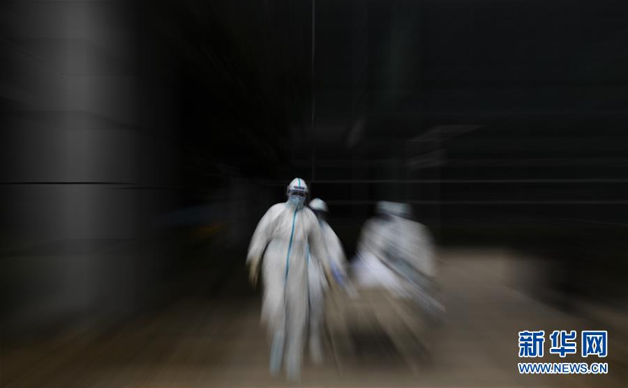 （聚焦疫情防控&middot;圖文互動）（13）這個春天，期待已久