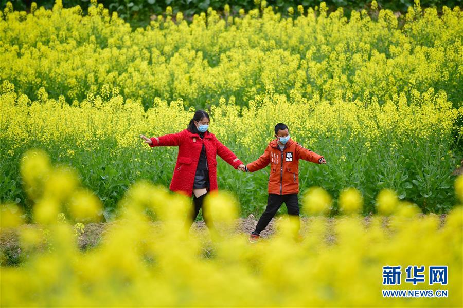 (決戰決勝脫貧攻堅·圖文互動)(4)特寫:疫情下的一堂特殊送教上門課