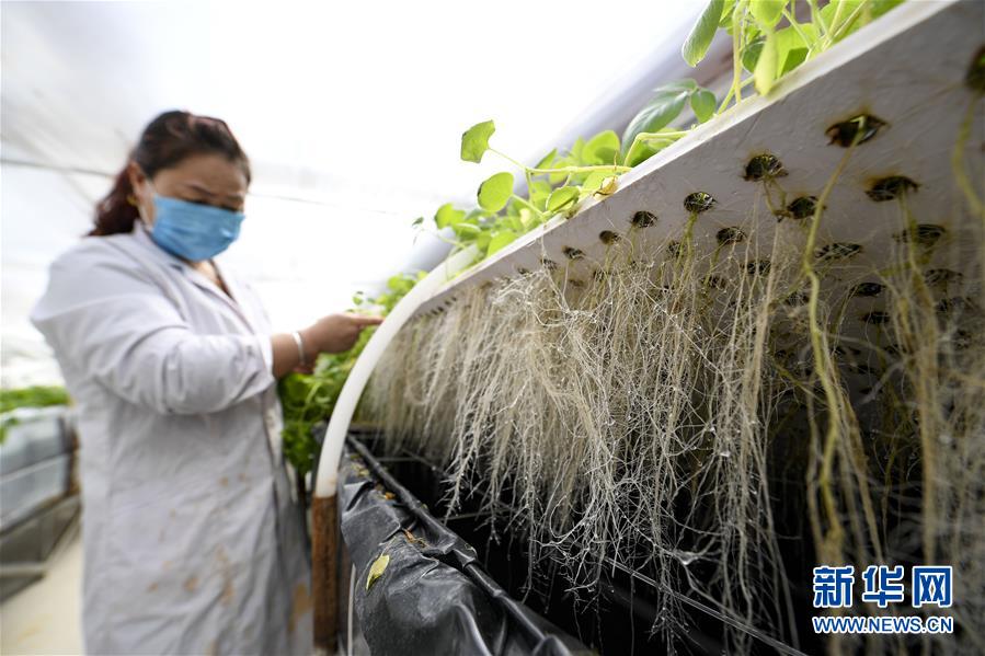 (新華全媒頭條·圖文互動)(1)春色最濃在田間——來自全國春耕備耕的現場觀察